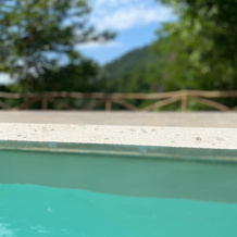 Pension Casa Vanatorilor, Бэиле-Олэнешти — фото 2