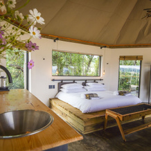 Sasi Bush Lodge, 亚赫斯鲁斯特 — 照片 5
