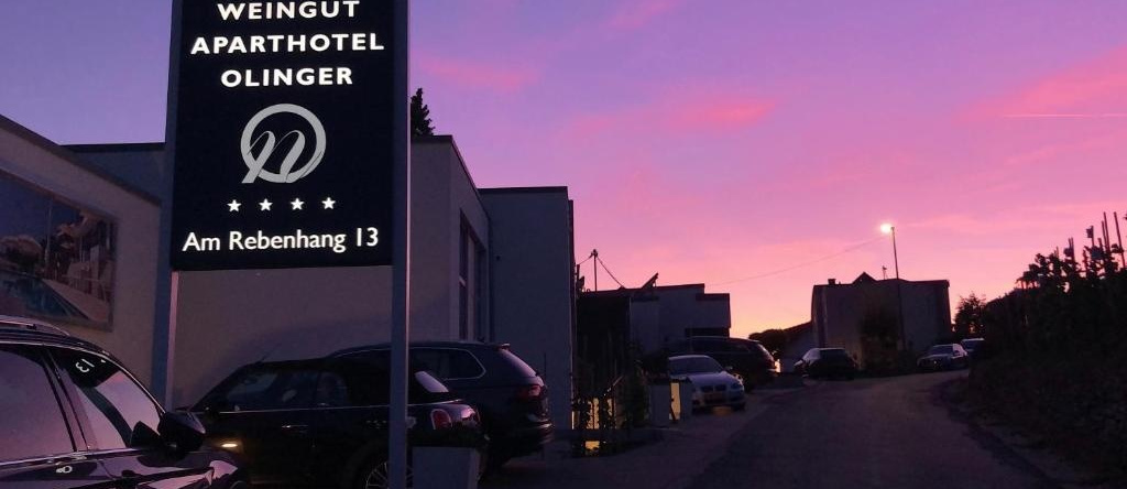 Weingut - Aparthotel Olinger, 施莱希 — 照片 1
