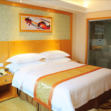 Vienna International Hotel Yueyang Railway Station Branch, Yueyang — photo 3