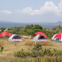 Mulberry Glamp, Mbita — photo 5