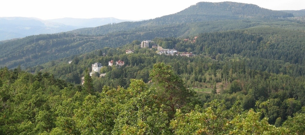 Le Belvédère, Turckheim — photo 1