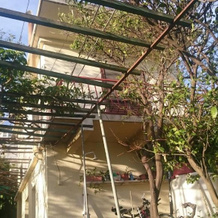 Apartments Petković, Кучиште — фото 3