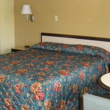 Lone Pine Budget Inn, 隆派恩 — 照片 5