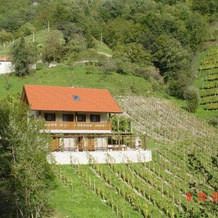 Holiday Home Baron, Требельно — фото 4