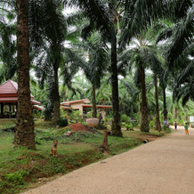 Tonpalm Farmstay, 空通 — 照片 2