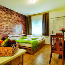 Hilson Apartments Jasná, 德马诺瓦 — 照片 5