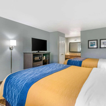 Comfort Inn Sun City Center - Ruskin - Tampa South, 太阳城中心 — 照片 3