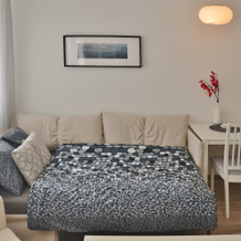 Reunion Apartments, 捷克利帕 — 照片 5