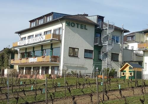 Ruthmann-Rheinblick Hotel, Эстрих-Винкель — фото 1