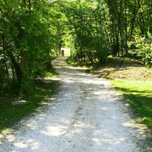 Alle Vallesse, Altavilla Vicentina — photo 4