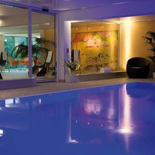 Pfalzblick Wald Spa Resort, Дан — фото 5