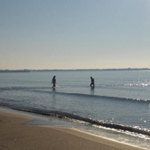 Gîte de vacances en Camargue ☆☆NN, 沃韦尔 — 照片 4