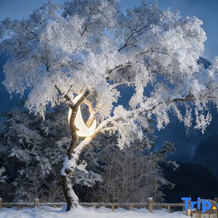 Yunfu Banshan Holiday Homestay, 神农架 — 照片 4