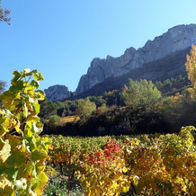Chambre D'hôtes Les Petits Sablet, Сабле — фото 5