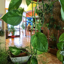 Hotel Capo Noli, Noli — photo 3
