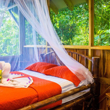 Finca Bellavista Treehouse Community, 戈尔菲托 — 照片 2