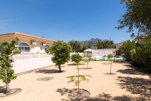 Villa Reyets Desinfeccion Certificada Y Entrega De Alimentos A Domicilio, Аликанте — фото 1