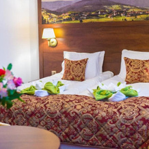 Hotel Buczynski Medical Spa, 希维拉杜夫-兹德鲁伊 — 照片 3