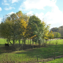 Le Manoir de Briquedalles, Sassetot-le-Mauconduit — photo 5