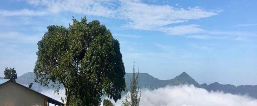 Heavens Edge Agro Tourism, 旧马哈巴莱什瓦尔 — 照片 1