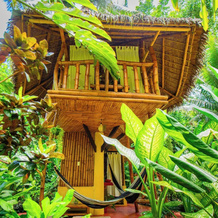 Water To Forest Ecolodge, 洛博克 — 照片 5