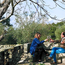 Quinta De São Pedro De Vir-A-Corça Em Monsanto, Монсанто — фото 5