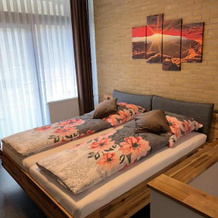 Mariposa 5 incl Pool & Sauna, 巴特哈尔茨堡 — 照片 4