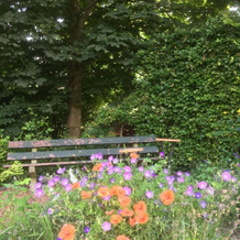 Klein Vreugderijk, Zwolle — photo 2