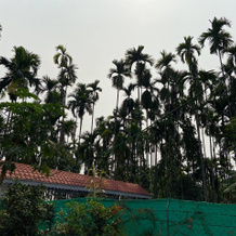 Thulung homestay, Горубатан — 照片 5