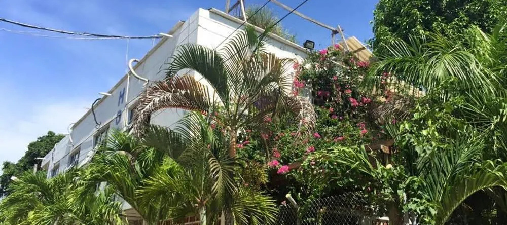 Las Palmas, 内科克利 — 照片 1