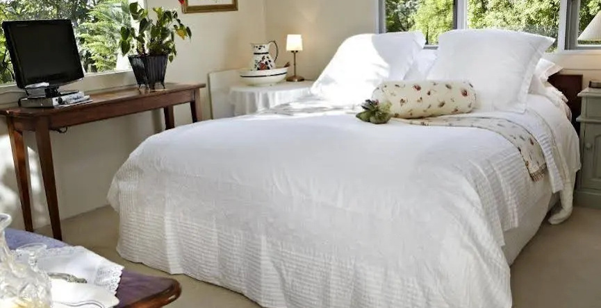 Bed Of Roses, Kerikeri — photo 1