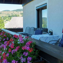 Beautiful Apartment in Bernau im Schwarzwald with Terrace, Menzenschwand — photo 4