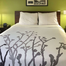 Days Inn By Wyndham Mcdonough, Макдоно — фото 3