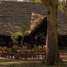 Migunga Forest Camp, 米贡加尼 — 照片 4
