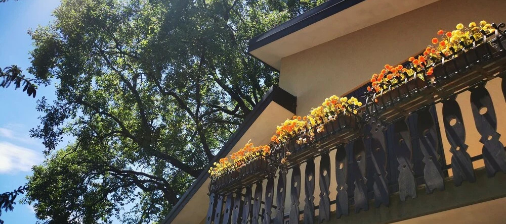 Elegant Holiday Home in Milo with Terrace, 米洛 — 照片 1