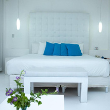 Le Cameleon Puerto Viejo, 科克莱斯 — 照片 3
