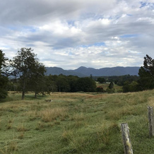 Glocca Morra Cottage, Bellingen — photo 5