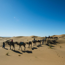 Bivouac les nomades foum zguid, 富姆兹吉德 — 照片 2