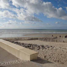 Appartement Ste Cécile À 50 Mètres De La Plage, 卡米耶 — 照片 4