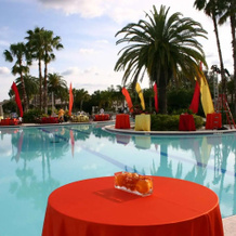 Saddlebrook Resort, 韦斯利教堂 — 照片 3