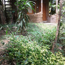 Villa Lagoon View, 坦加勒 — 照片 4