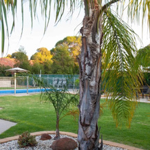Quality Inn Swan Hill, 斯旺希尔 — 照片 5