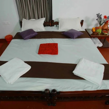 Pn Ayurvedasramam, Кодунгаллур — фото 4