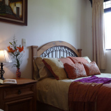 Hotel Finca Las Hortensias, Тепотцотлан — фото 5