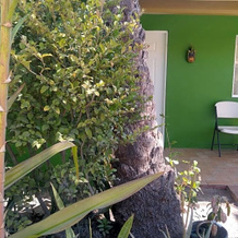 New! Cabana Frida 1/bdr, Loreto — photo 5