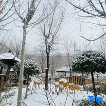 Manpu Tianmu Yangyan Hot Spring Hotel (Zhenbeibao Western Studios See Helan Performing Arts Town), Yinchuan — photo 5