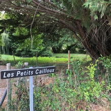 Les Petits Cailloux, Ли — 照片 5