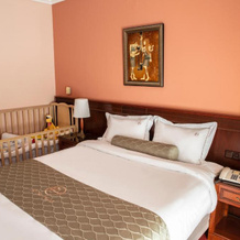 Hotel Pella, 亚尼察 — 照片 4
