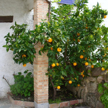 Hotel Labranza, San Martin de Valdeiglesias — photo 3
